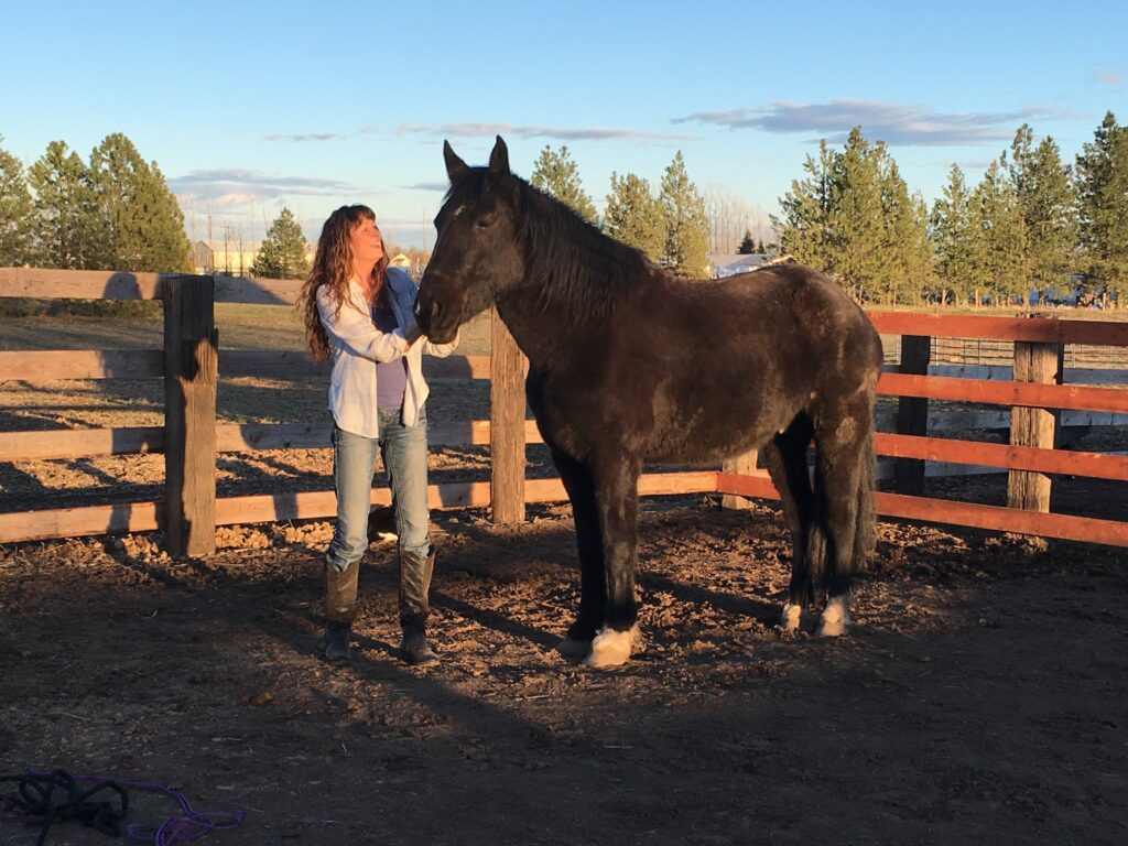 Course Library img 4442 (2019 02 15 17 11 21 utc)