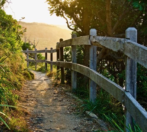 path, track, perspective, fence, sunlight, light, trail, wood, hiking, pathway, hike, environment, nature, trees, scenic, outdoor, pathway, pathway, pathway, pathway, pathway, scenic